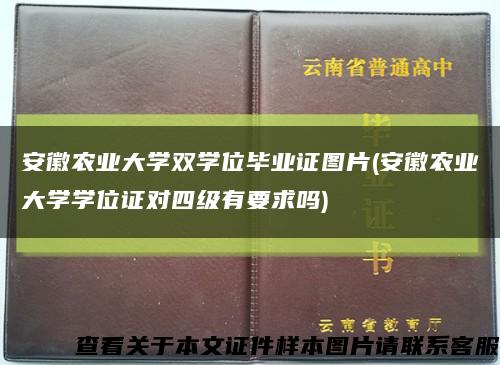 安徽农业大学双学位毕业证图片(安徽农业大学学位证对四级有要求吗)缩略图