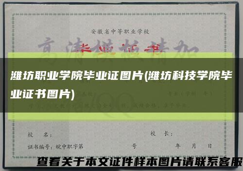 潍坊职业学院毕业证图片(潍坊科技学院毕业证书图片)缩略图