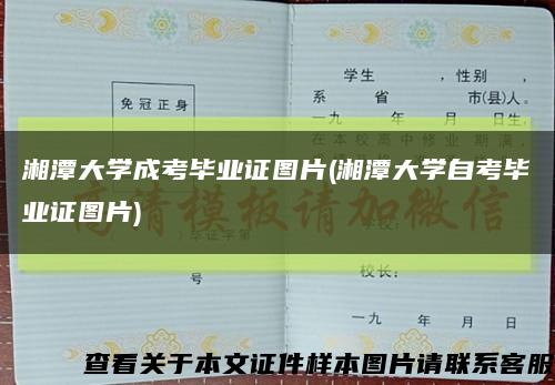湘潭大学成考毕业证图片(湘潭大学自考毕业证图片)缩略图