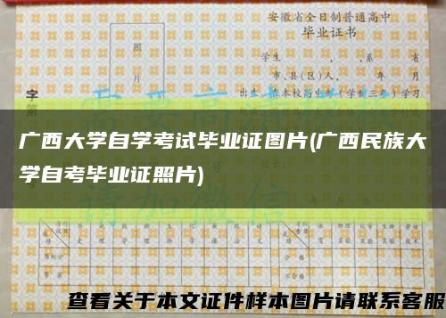 广西大学自学考试毕业证图片(广西民族大学自考毕业证照片)缩略图