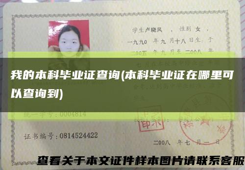 我的本科毕业证查询(本科毕业证在哪里可以查询到)缩略图