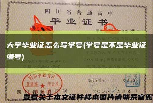 大学毕业证怎么写学号(学号是不是毕业证编号)缩略图