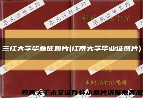 三江大学毕业证图片(江南大学毕业证图片)缩略图