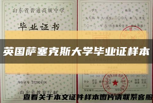 英国萨塞克斯大学毕业证样本缩略图