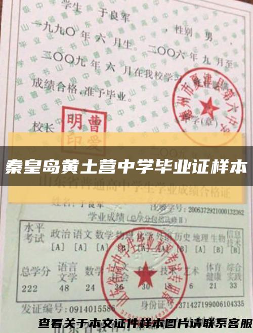 秦皇岛黄土营中学毕业证样本缩略图