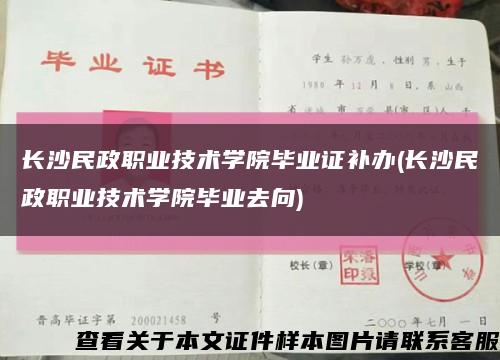 长沙民政职业技术学院毕业证补办(长沙民政职业技术学院毕业去向)缩略图