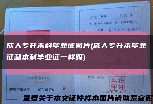 成人专升本科毕业证图片(成人专升本毕业证和本科毕业证一样吗)缩略图