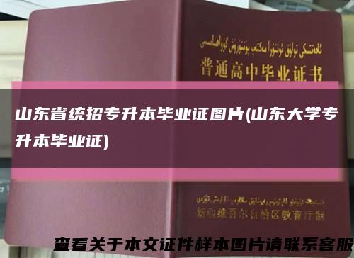 山东省统招专升本毕业证图片(山东大学专升本毕业证)缩略图