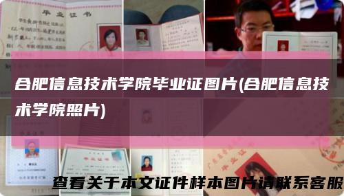 合肥信息技术学院毕业证图片(合肥信息技术学院照片)缩略图