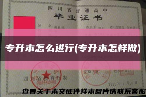 专升本怎么进行(专升本怎样做)缩略图