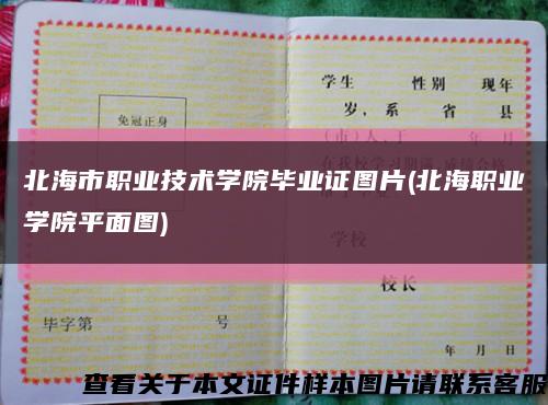 北海市职业技术学院毕业证图片(北海职业学院平面图)缩略图