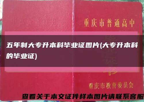五年制大专升本科毕业证图片(大专升本科的毕业证)缩略图