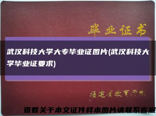 武汉科技大学大专毕业证图片(武汉科技大学毕业证要求)缩略图