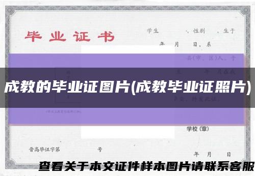 成教的毕业证图片(成教毕业证照片)缩略图