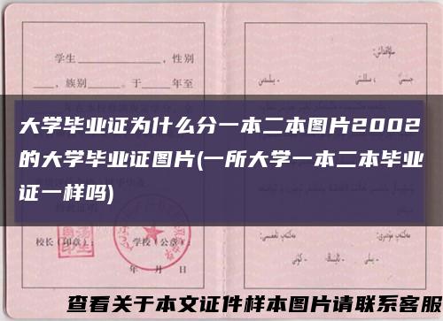 大学毕业证为什么分一本二本图片2002的大学毕业证图片(一所大学一本二本毕业证一样吗)缩略图