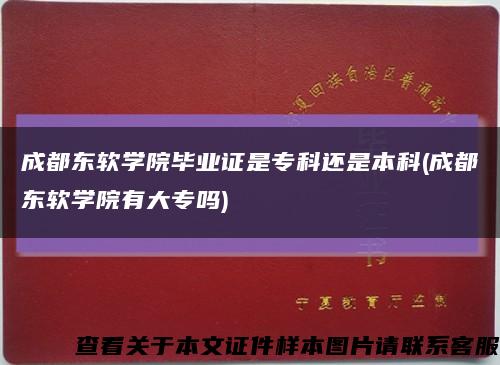 成都东软学院毕业证是专科还是本科(成都东软学院有大专吗)缩略图