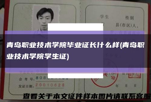 青岛职业技术学院毕业证长什么样(青岛职业技术学院学生证)缩略图