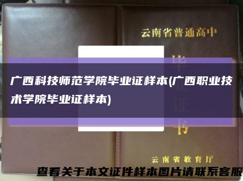 广西科技师范学院毕业证样本(广西职业技术学院毕业证样本)缩略图