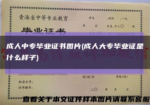成人中专毕业证书图片(成人大专毕业证是什么样子)缩略图
