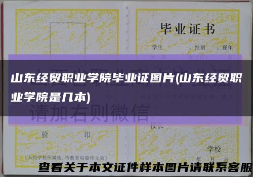 山东经贸职业学院毕业证图片(山东经贸职业学院是几本)缩略图