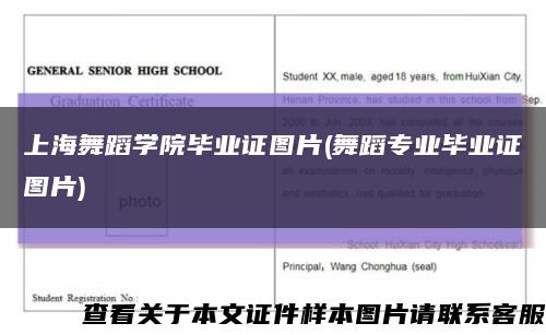 上海舞蹈学院毕业证图片(舞蹈专业毕业证图片)缩略图