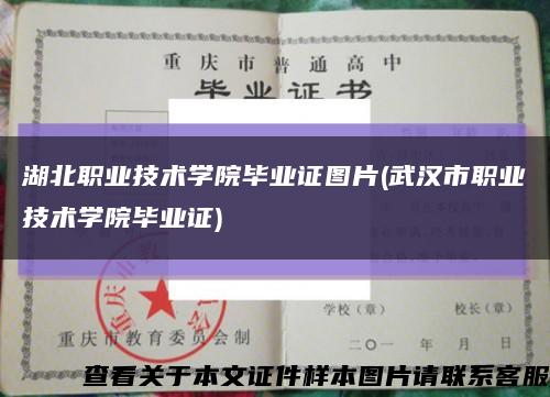 湖北职业技术学院毕业证图片(武汉市职业技术学院毕业证)缩略图