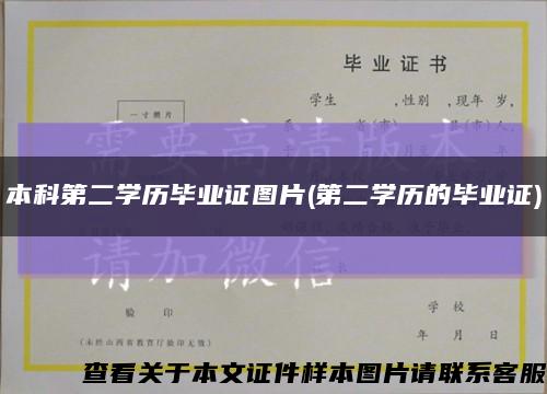 本科第二学历毕业证图片(第二学历的毕业证)缩略图