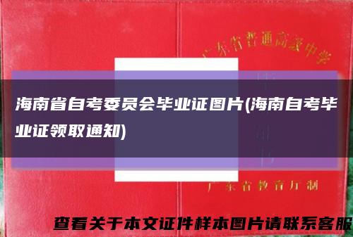 海南省自考委员会毕业证图片(海南自考毕业证领取通知)缩略图