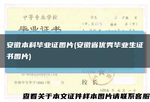安徽本科毕业证图片(安徽省优秀毕业生证书图片)缩略图