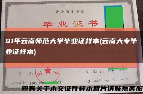 91年云南师范大学毕业证样本(云南大专毕业证样本)缩略图