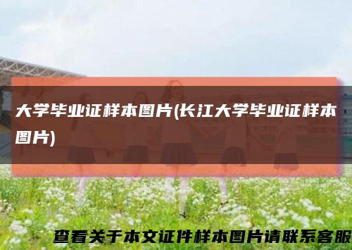 大学毕业证样本图片(长江大学毕业证样本图片)缩略图