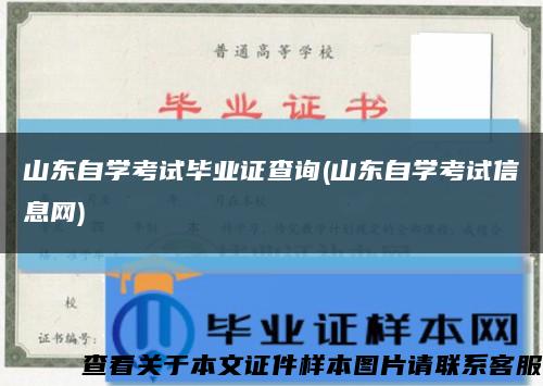 山东自学考试毕业证查询(山东自学考试信息网)缩略图