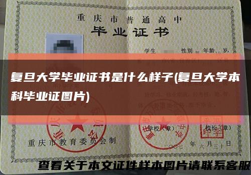 复旦大学毕业证书是什么样子(复旦大学本科毕业证图片)缩略图