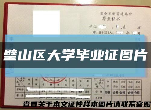 璧山区大学毕业证图片缩略图