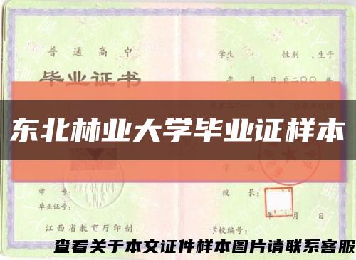 东北林业大学毕业证样本缩略图