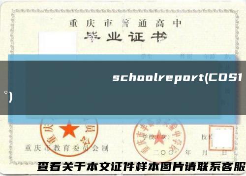 УниверситетНархозschoolreport(COS1°)缩略图