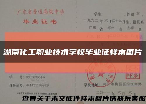 湖南化工职业技术学校毕业证样本图片缩略图