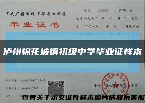 泸州棉花坡镇初级中学毕业证样本缩略图