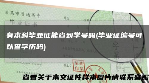 有本科毕业证能查到学号吗(毕业证编号可以查学历吗)缩略图
