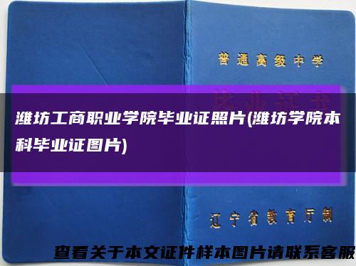 潍坊工商职业学院毕业证照片(潍坊学院本科毕业证图片)缩略图