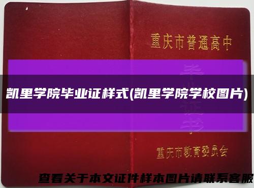 凯里学院毕业证样式(凯里学院学校图片)缩略图