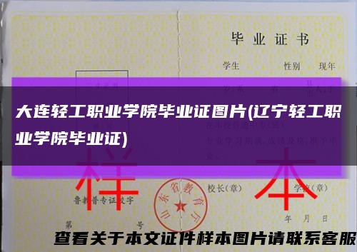 大连轻工职业学院毕业证图片(辽宁轻工职业学院毕业证)缩略图