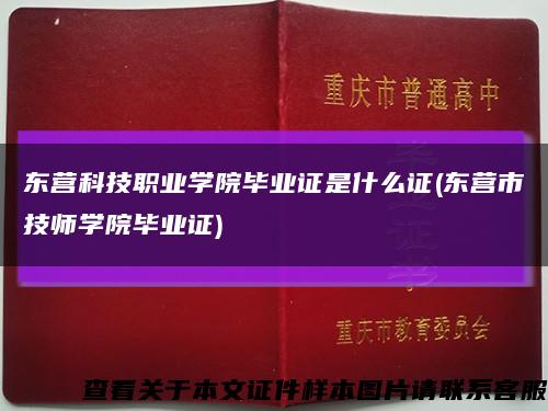 东营科技职业学院毕业证是什么证(东营市技师学院毕业证)缩略图