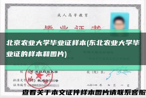 北京农业大学毕业证样本(东北农业大学毕业证的样本和图片)缩略图