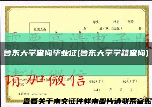 鲁东大学查询毕业证(鲁东大学学籍查询)缩略图