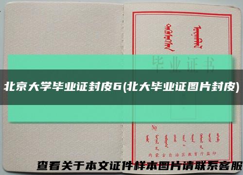 北京大学毕业证封皮6(北大毕业证图片封皮)缩略图