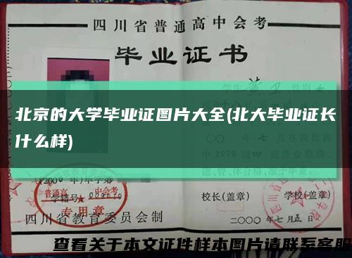 北京的大学毕业证图片大全(北大毕业证长什么样)缩略图