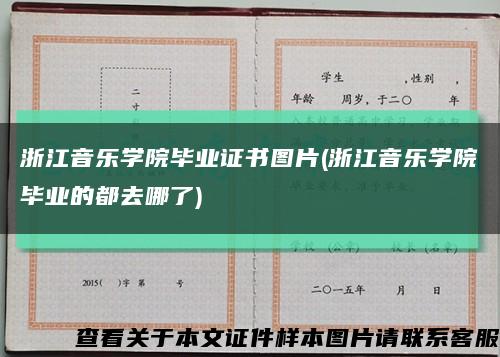 浙江音乐学院毕业证书图片(浙江音乐学院毕业的都去哪了)缩略图