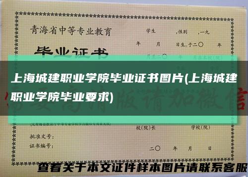 上海城建职业学院毕业证书图片(上海城建职业学院毕业要求)缩略图