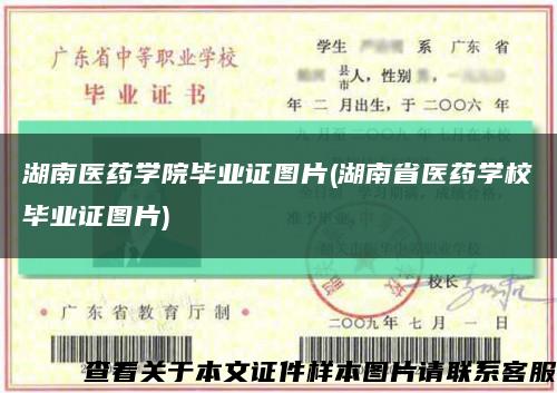 湖南医药学院毕业证图片(湖南省医药学校毕业证图片)缩略图